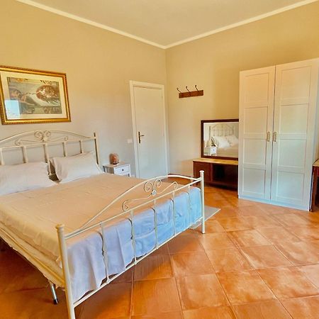 B&B Terre Toscane Ciggiano ภายนอก รูปภาพ