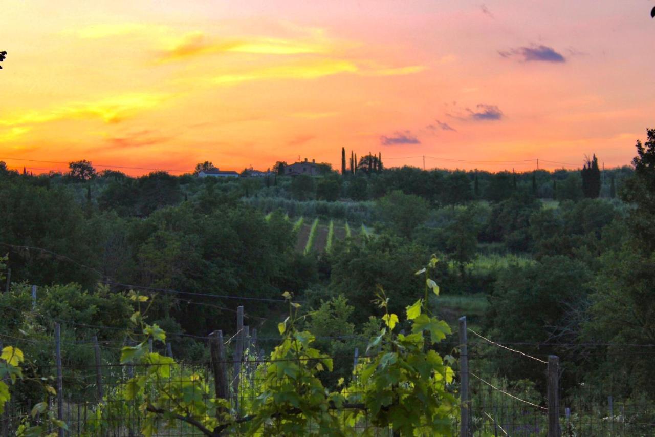 B&B Terre Toscane Ciggiano ภายนอก รูปภาพ