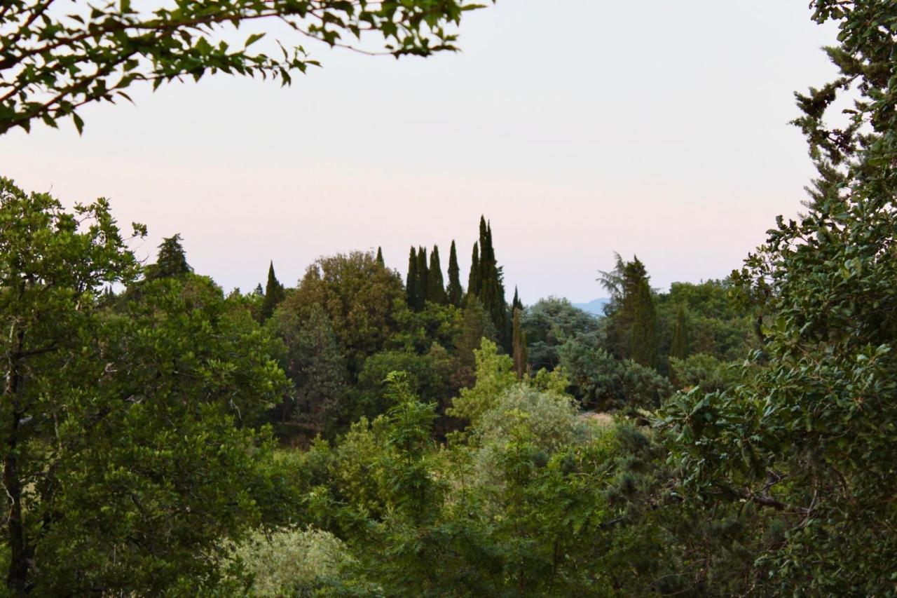 B&B Terre Toscane Ciggiano ภายนอก รูปภาพ